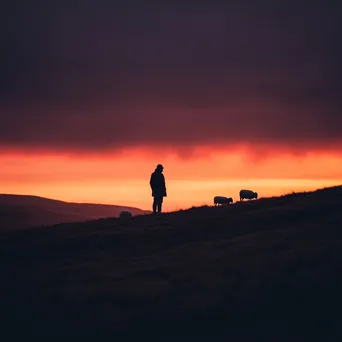 Shepherd silhouetted against a glowing horizon with grazing sheep - Image 3