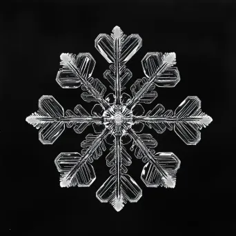 Detailed micrograph of an intricate snowflake capturing the essence of minimalism - Image 2