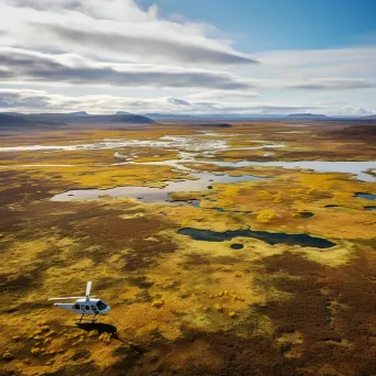 Tundra Wildlife Surveys