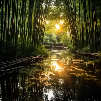 Pond surrounded by bamboo with reflections - Image 2