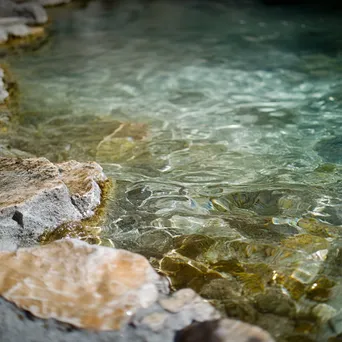 Close-up of crystal-clear thermal spring water with stones and algae. - Image 3