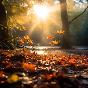 Autumn leaves illuminated by sunlight in a forest - Image 2