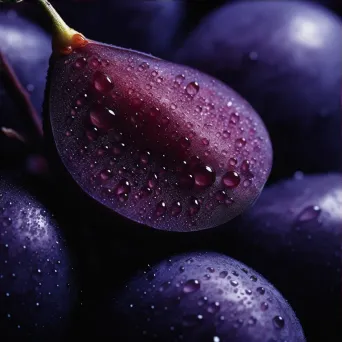 Macro close-up of deep purple plum