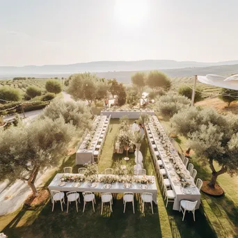 Vineyard Wedding Setup