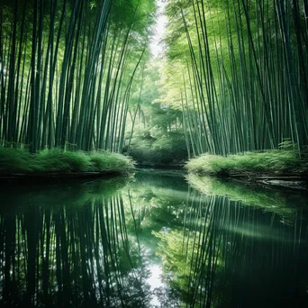 Reflection of bamboo forest in a calm pond - Image 4