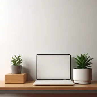 Succulent plant on minimalist office desk - Image 1