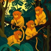 Golden Lion Tamarins in Brazilian rainforest with golden fur - Image 3