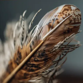 Close-up image showcasing the soft texture and detailed barb structures of a feather - Image 4