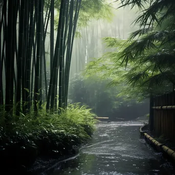 Bamboo forest during light rain with misty ambiance - Image 2