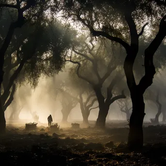 Harvesters in a foggy cork oak grove at dawn - Image 4