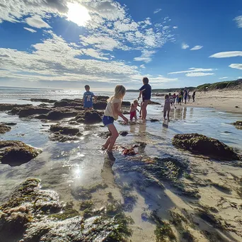 Children exploring rock pools discovering sea creatures - Image 2