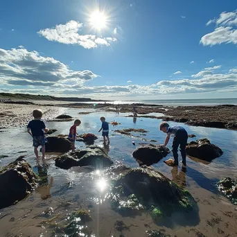 Children exploring rock pools discovering sea creatures - Image 3