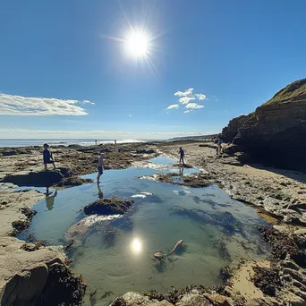 Children exploring rock pools discovering sea creatures - Image 4