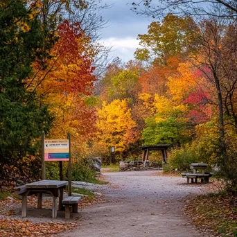 Trailhead sign surrounded by colorful trees in a picturesque park. - Image 1