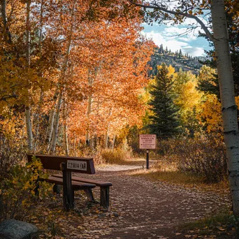 Trailhead sign surrounded by colorful trees in a picturesque park. - Image 2