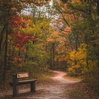 Trailhead sign surrounded by colorful trees in a picturesque park. - Image 3