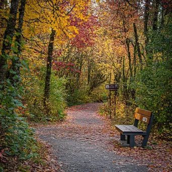 Trailhead Sign in Colorful Park