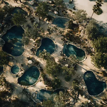 Aerial view of desert oasis with water and trees - Image 1