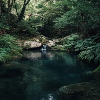 Natural spring surrounded by lush woods - Image 2