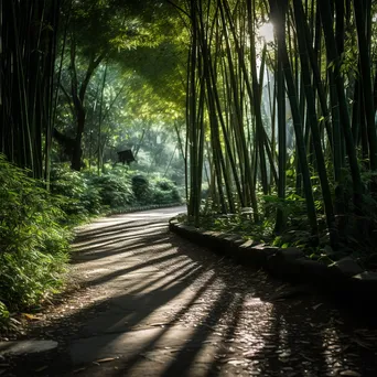 Winding path through a dense bamboo forest under sunlight - Image 1