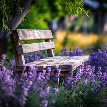 Rustic wooden bench amidst blooming lavender flowers. - Image 1