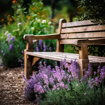 Rustic wooden bench amidst blooming lavender flowers. - Image 3