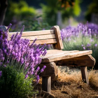 Rustic wooden bench amidst blooming lavender flowers. - Image 4