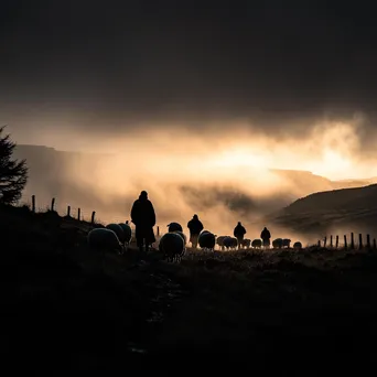 Silhouetted shepherds gathering sheep at twilight - Image 1