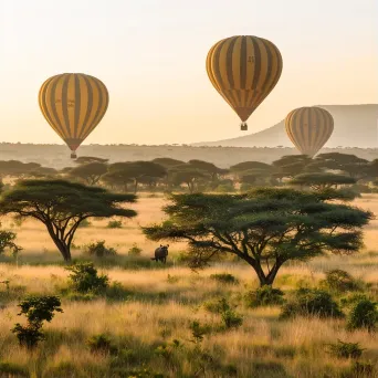 Serengeti National Park savannah with wildlife and hot air balloons - Image 1