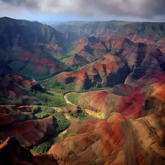 Waimea Canyon Kauai - Image 4