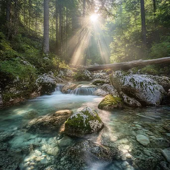 Clear spring water bubbling over stones in a wooded setting - Image 3