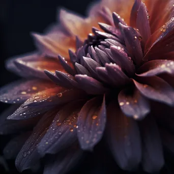 Black and white close-up of flower petals showcasing intricate textures - Image 3