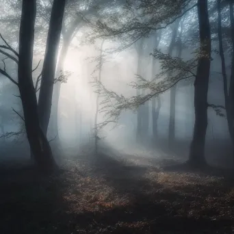 Aerial view of mystical forest with fog and morning light - Image 3