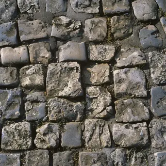 close-up of cobbled path - Image 1