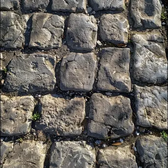 close-up of cobbled path - Image 2