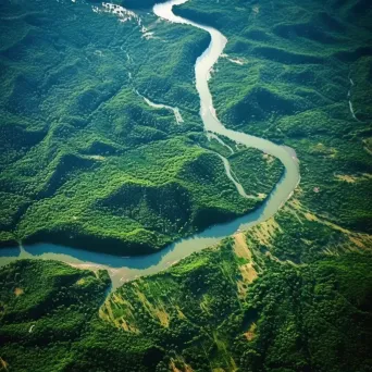 Meandering river flowing through lush green forest seen from airplane window - Image 1