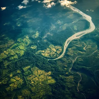 Meandering river flowing through lush green forest seen from airplane window - Image 3