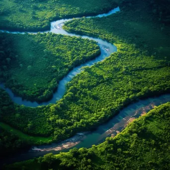 River Through Forest Aerial View