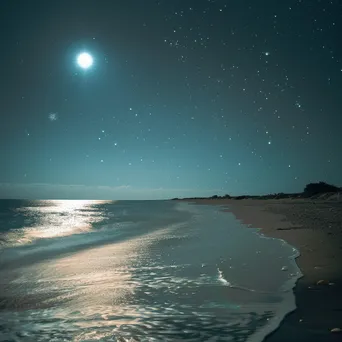 Serene Beach Under Starry Sky