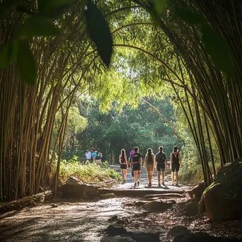 Tourists walking through a bamboo grove - Image 2