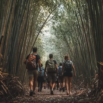 Tourists walking through a bamboo grove - Image 3