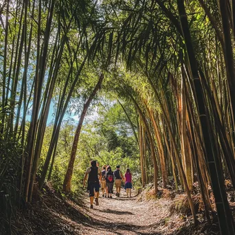 Tourists in Bamboo Grove