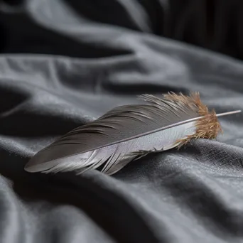 Single feather on textured gray fabric - Image 1