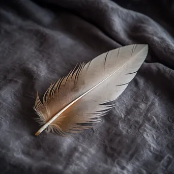 Single feather on textured gray fabric - Image 2