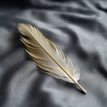 Single feather on textured gray fabric - Image 3