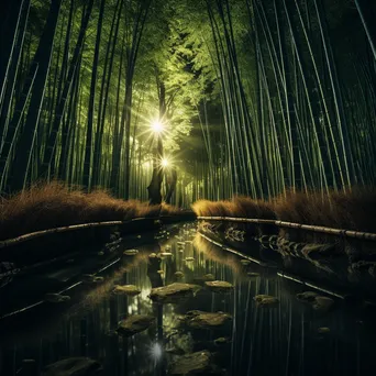 Bamboo forest illuminated by moonlight - Image 1