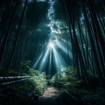 Bamboo forest illuminated by moonlight - Image 4