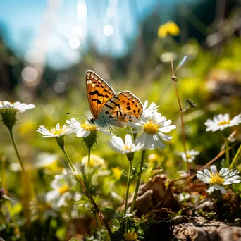 Close-up of a butterfly resting on a wildflower in an alpine meadow. - Image 3