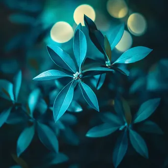 Teal and sapphire gradient with oval bokeh - Image 1