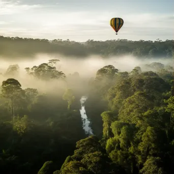 Forest Canopy Balloon Ride